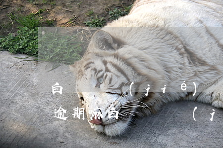 白條賬單結(jié)轉(zhuǎn)是逾期嘛 白條賬單結(jié)轉(zhuǎn)是逾期嘛