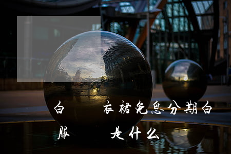 白條連衣裙免息分期(白條的分期免息和分期服務費是什么)