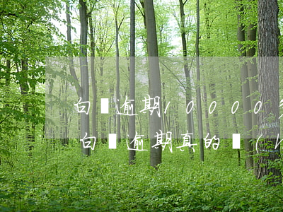 白條逾期10000多會(huì)上門嗎 白條逾期真的會(huì)上門催收嗎