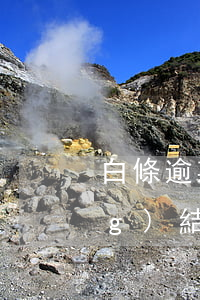 白條逾期10個(gè)月但已經(jīng)結(jié)清(白條逾期十天)