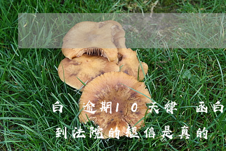 白條逾期10天律師函(白條逾期了25天,收到法院的短信是真的嗎?)