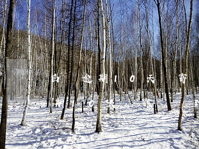 白條逾期10天會寄賬單到戶籍地-白條逾期10天會寄賬單到戶籍地嗎