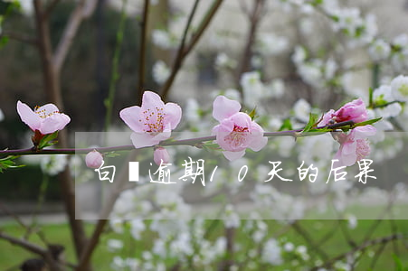 白條逾期10天的后果