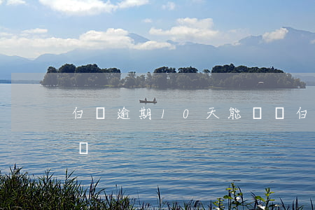 白條逾期10天能還嗎(白條逾期10天能還嗎)