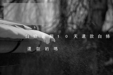 白條逾期10天還款 白條逾期有逾期16天還款的嗎