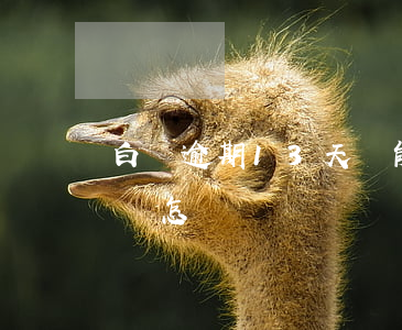 白條逾期13天還能套出來嗎(白條逾期三天會怎樣)