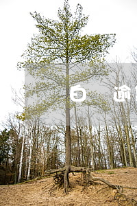 白條逾期14天影響征信-白條逾期12天