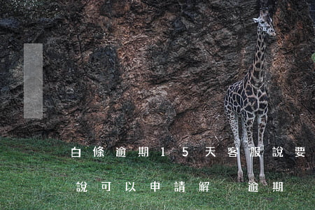 白條逾期15天客服說要起訴我了(白條客服說可以申請解決逾期)