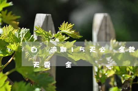 白條逾期15天必須全款還清（白條逾期10天要還全額嗎）