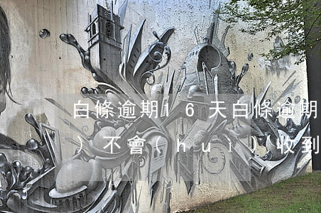 白條逾期16天(白條逾期16天會(huì)不會(huì)收到通知函)