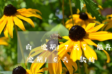 白條逾期17天了還能再逾期嗎(白條逾期有逾期16天還款的嗎)
