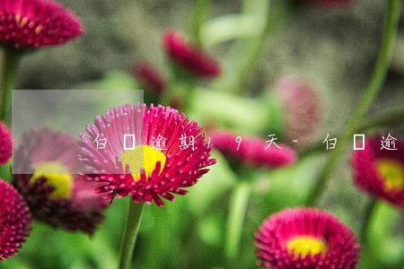 白條逾期19天-白條逾期19天