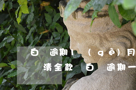 白條逾期1個(gè)月會(huì)被叫還清全款嗎(白條逾期一次是不是就要還全款)