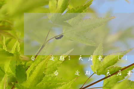 白條逾期1天后寄來(lái)通告函怎么辦-白條逾期1天后寄來(lái)通告函怎么辦理
