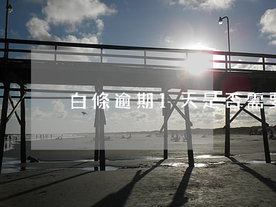 白條逾期1天是否需要全額還款