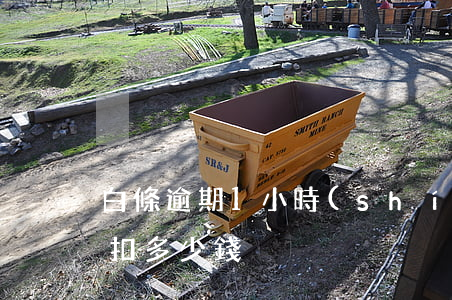 白條逾期1小時(shí)（秒白條逾期一天扣多少錢）