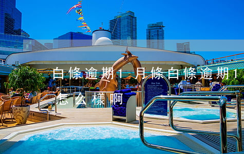 白條逾期1月條(白條逾期1年會(huì)怎么樣啊)