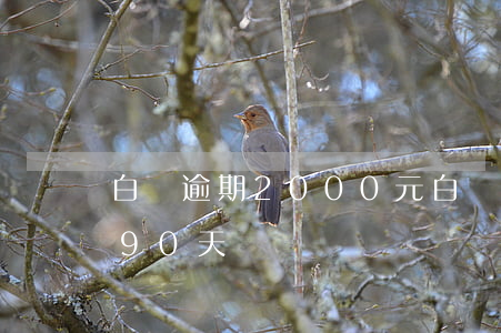 白條逾期2000元(白條逾期2000元190天)