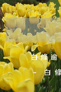 白條逾期2000塊錢會(huì)怎么樣-白條逾期3000塊
