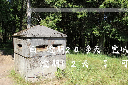 白條逾期20多天還完以后額度還能用嗎（白條逾期12天還了還可以用嗎）