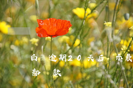 白條逾期20天后顯示最低還款(白條逾期全部還款)