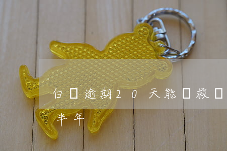 白條逾期20天能補救嗎（2020白條逾期半年）
