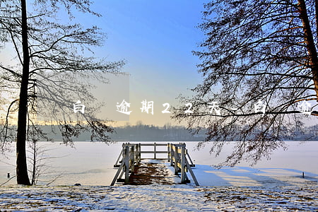 白條逾期22天-白條逾期兩天沒事吧