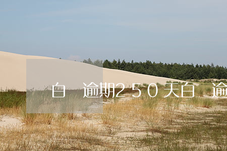 白條逾期250天(白條逾期500天)