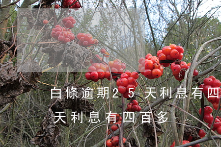 白條逾期25天利息有四百多(白條逾期25天利息有四百多)