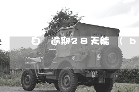 白條逾期28天能補(bǔ)救嗎