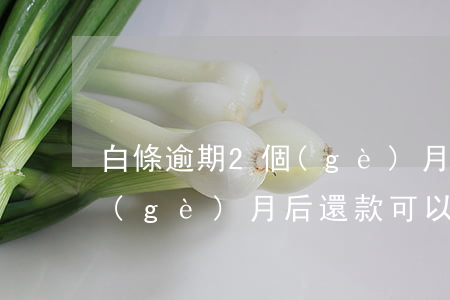 白條逾期2個(gè)月還款(白條逾期1個(gè)月后還款可以嗎)