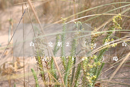 白條逾期2個(gè)(白條逾期2個(gè)月會(huì)起訴嗎)