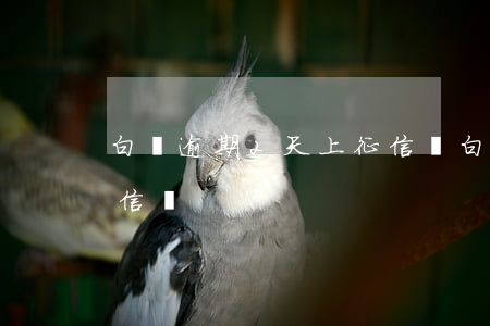 白條逾期2天上征信嗎(白條逾期三天會上征信嗎)
