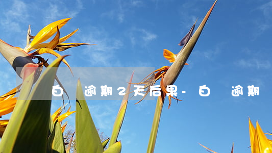 白條逾期2天后果-白條逾期兩年了怎么辦