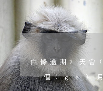 白條逾期2天會(huì)上征信（白條逾期一個(gè)月上證信嗎）