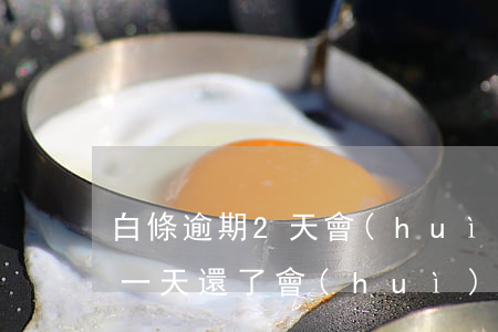 白條逾期2天會(huì)上征信（白條逾期一天還了會(huì)上征信嗎）