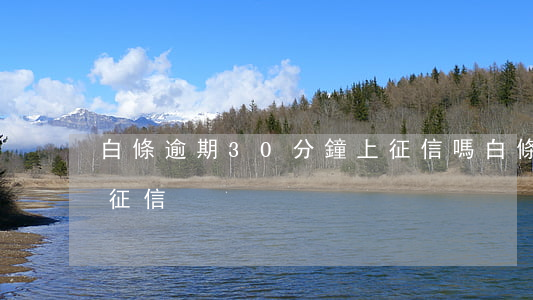 白條逾期30分鐘上征信嗎(白條逾期多久上征信)