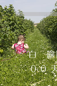 白條逾期30天還了能不能在用（白條逾期300天還會自動解鎖嗎）