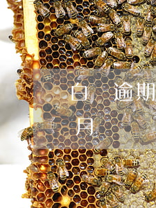 白條逾期31收到律師函怎么處理(白條一個月沒還會有律師函嗎)