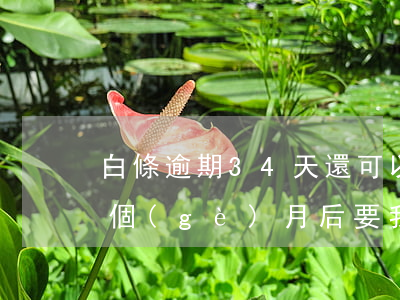 白條逾期34天還可以分期還嗎(白條逾期兩個(gè)月后要我把全部分期的全還了)