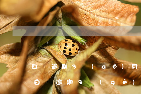 白條逾期3個(gè)月把逾期的都還了-白條逾期3個(gè)月把逾期的都還了會(huì)怎樣