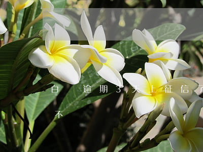 白條逾期3天上征信了（白條逾期半天上征信不）