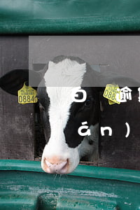 白條逾期3天有事嗎（白條逾期三個月嚴(yán)重嗎）
