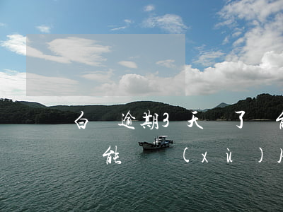 白條逾期3天還了還能在用嗎-白條逾期了還能繼續(xù)用白條嗎