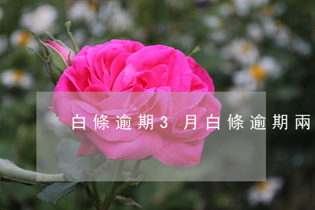白條逾期3月 白條逾期兩個月了