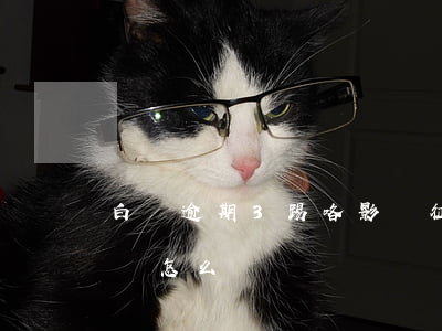 白條逾期3踢咯影響征信嗎(白條逾期3個月會怎么樣)