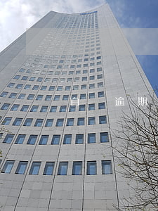 白條逾期400