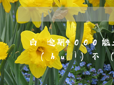 白條逾期4000能立案嗎(白條逾期一萬多會(huì)不會(huì)被起訴)