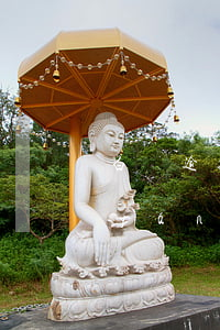 白條逾期45天可以用嗎(白條逾期5天嚴(yán)重嗎)