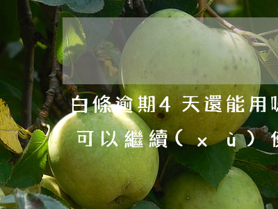 白條逾期4天還能用嗎(白條逾期一天還上后可以繼續(xù)使用嗎?)